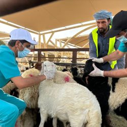مؤشرات الأسهم الأمريكية تغلق على ارتفاع