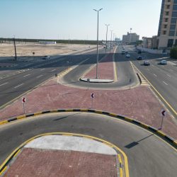وزير الخارجية الإماراتي يلتقي وزير الشؤون الخارجية الهندي