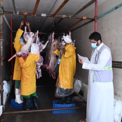 المركز الوطني للأرصاد : أتربة مثارة على عددٍ من محافظات منطقة المدينة المنورة