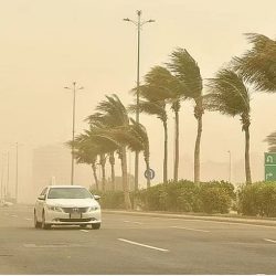 فرع الشؤون الإسلامية بالمدينة يفعّل خدمة “فعيل” للاتصال المرئي للإفتاء بجامع الميقات