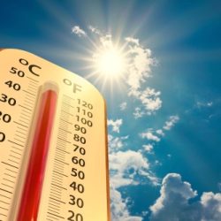 غرفة المدينة تطلق تطبيقاً عبر الأجهزة الذكية غرفة المدينة تطلق تطبيقاً عبر الأجهزة الذكية