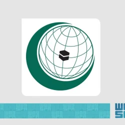 وزير الخارجية المصري يتلقى اتصالاً من المنسق الأممي الخاص لعملية السلام في الشرق الأوسط
