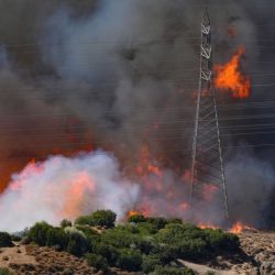 سفير المملكة لدى مصر يلتقي وزيرة التخطيط والتنمية الاقتصادية المصرية