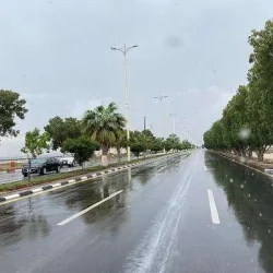 جامعة طيبة تعلن عن رغبتها في الاستعانة بعدد من الكفاءات العلمية
