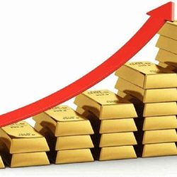 فواز التميمي لـ”أخبار”: GII تركز في استثماراتها بالمملكة على الرعاية الصحية واللوجستيات والأغذية