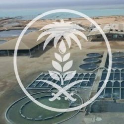 جامعة الأمير محمد بن فهد ضمن أفضل الجامعات العالمية في تصنيف شنغهاي 2024