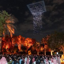 القوات الخاصة للأمن والحماية تضبط مخالفَين لنظام البيئة لاستغلالهما الرواسب في منطقة تبوك