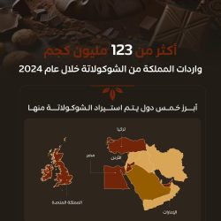 التسوق الإلكتروني خيار بمزايا عديدة يلبي متطلبات العيد