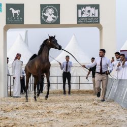 النائب العام يلتقي منسوبي النيابة العامة بمحافظة الأحساء وعدداً من المراجعين   