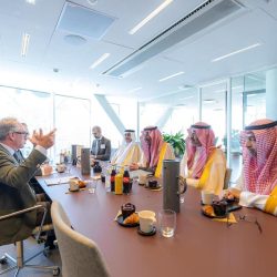 مساعد وزير الصناعة والثروة المعدنية للتخطيط والتطوير يبحث فرص التعاون في مجال التصنيع المتقدم مع جمهورية النمسا