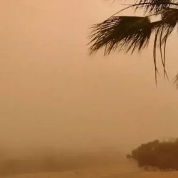 النعيرية العام يواصل تنفيذ مبادرة ترفيه وتعليم الأطفال لتعزيز الصحة النفسية والمعرفية