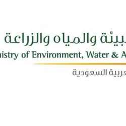 بدء طرح تذاكر عرضي “سماك داون” و “ليلة الأبطال” في الرياض