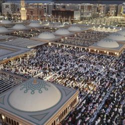 هيئة الاتصالات والفضاء والتقنية: (181.2) مليون مكالمة محلية ودولية خلال موسم حج 1446هـ