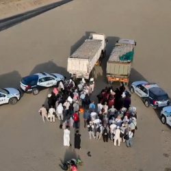 وزير الإعلام يشيد بجهود الكشافة بخدمة ضيوف الرحمن