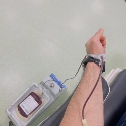 النيابة العامة تقيم حفل معايدة بمناسبة عيد الأضحى المبارك