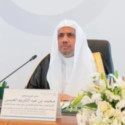محافظة الحناكية تطلق أول مهرجان رسمي للعنب في مركز النخيل