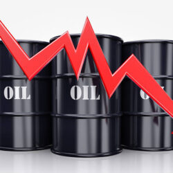 “سفراء الزراعة” يطلعون على تجربة إنتاج العطور في أبها