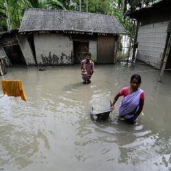 تدريب كوادر النعيرية على العناية المركزة الافتراضية