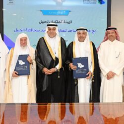 Unlocking the Secrets of Winning Patterns in Modern Games #9