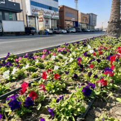 موسوعة كيوبيديا العالمية توثق المنطقة الشرقية