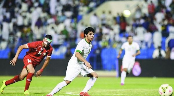 تنظيم رسوم الأراضي يسند تحديد المساحة والبرنامج الزمني والعقوبات إلى اللجنة الوزارية