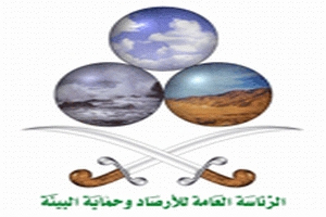 حرس الحدود بجازان يحبط ثلاث محاولات لتهريب (241) كيلوجرام من الحشيش