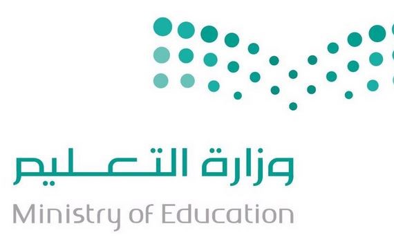 تركيا تنفي المزاعم بتورط المملكة بعملية الانقلاب الفاشلة الشهر الماضي