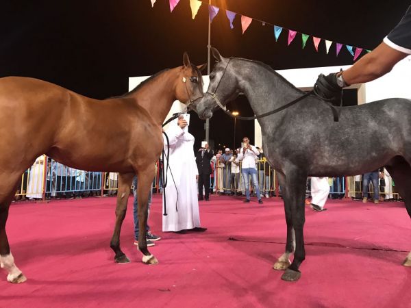 العقيد الزهراني مديرا لشرطة محافظة بيش