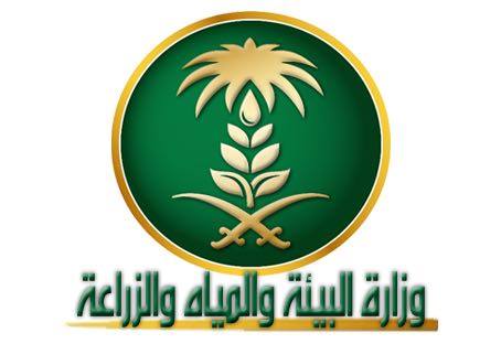 اطلاق هاشتاق تقديرا للمعلمة جمعة مغفوري