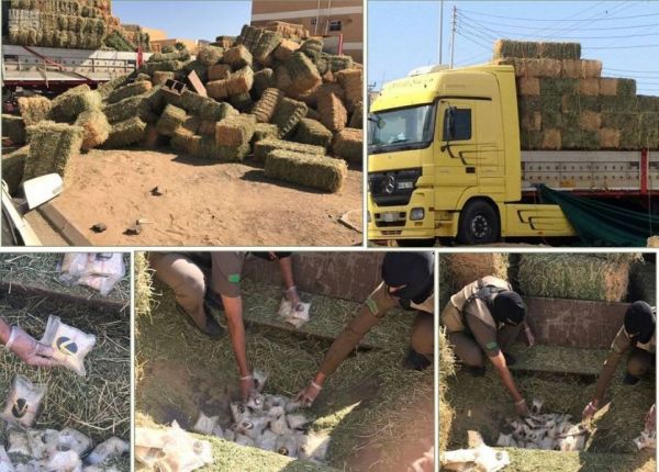 رئيس مركز الجيشية يشكر سمو أمير المنطقة الشرقية
