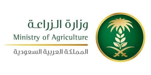 موافقة المقام السامي على فتح مكتب الشؤون القنصلية بمحافظة جدة لسفارة المملكة بصنعاء والقنصلية بعدن