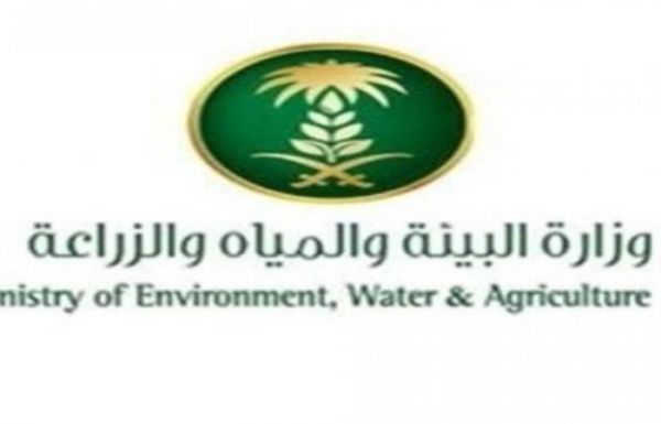 بلدية شرق الدمام تغلق 31 محلاً تجارياً مخالفاً