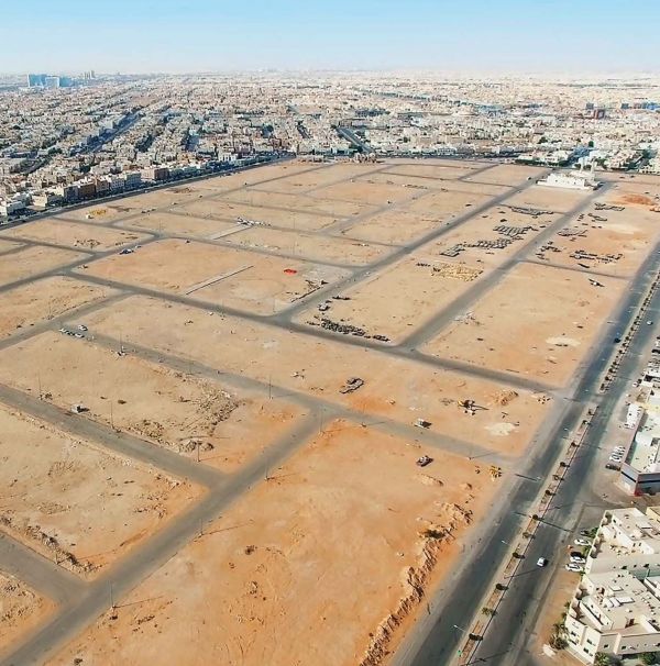 السراني : القمم الثلاثة تؤكد مكانة المملكة عالمياً
