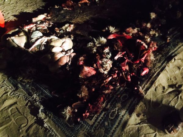 جمعية ( إطعام ) تحفظ زائد الطعام وتنظم حزمة برامج في رمضان