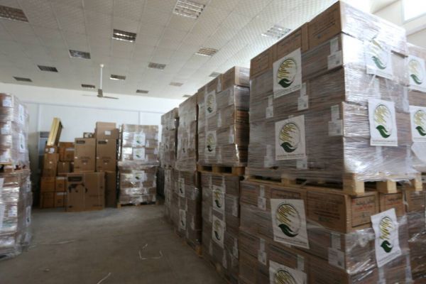 السفر الرمضانية بالمسجد النبوي تجسد مظاهر التآخي والتعاون