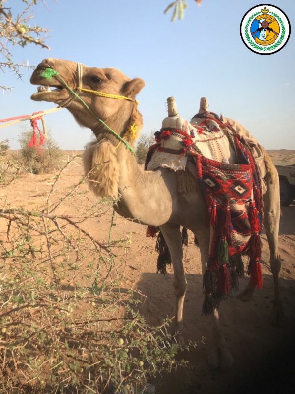 البحرين تُدين الاعتداء الإرهابي الذي استهدف دورية أمن بالقطيف