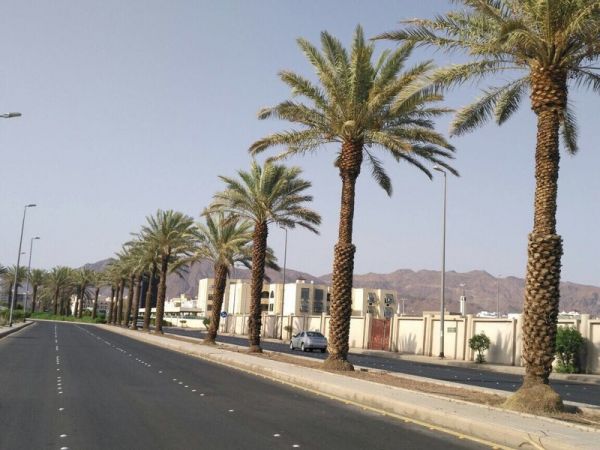 حادث بالباحة يتسبب في وفاة شخصين وإصابة اثنين آخرين