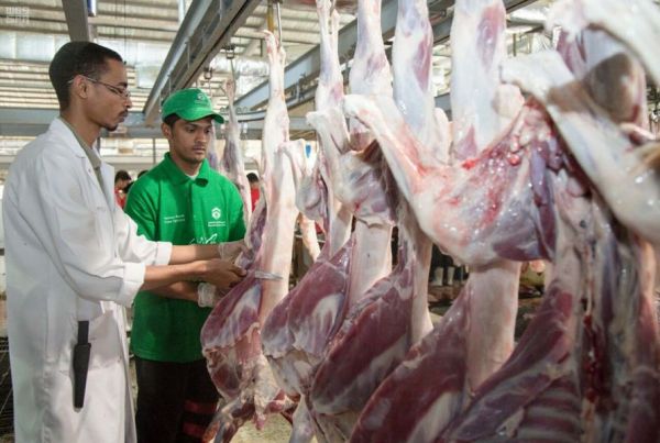 حرس الحدود بالمناطق الجنوبية يحبطون عدة محاولات لتهريب مواد مخدرة
