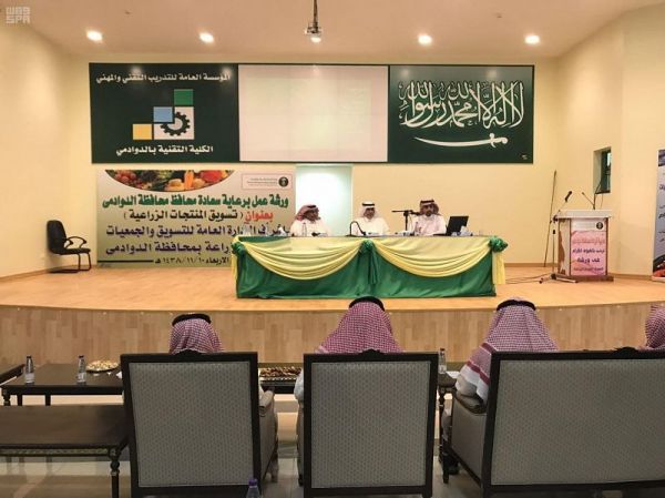 أمير منطقة حائل يلتقى وكيل وزارة النقل