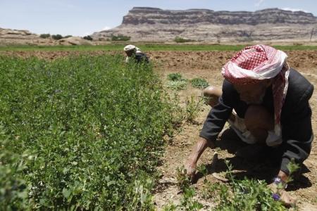 الجيش اليمني يدمر آليات عسكرية للانقلابيين في جبهة نهم