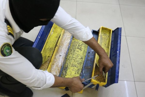 مؤذنو المسجد الحرام يشاركون بحملة خدمة الحاج والزائر وسام فخر لنا