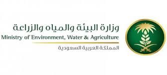 اختتام معسكر رحلة الوفاء والصداقة 32 بجورجيا