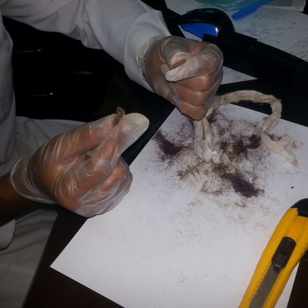 ولي العهد يلتقي مديرة صندوق النقد الدولي ويبحثان مجالات التنسيق الثنائية