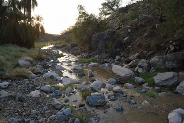 صدور أمر ملكي بإنشاء الهيئة الوطنية للأمن السيبراني