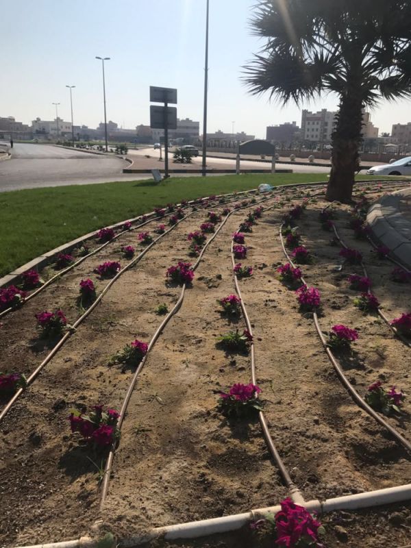 إنقاذ ساق شاب من  البتر بمستشفى الملك فهد بالهفوف