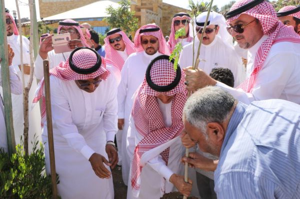 في إنجاز طبي ولادة ستة توائم في مدينة سلطان الطبية العسكرية بالرياض