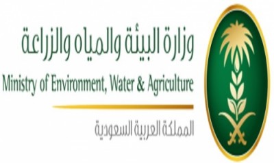 مركز الملك سلمان الاجتماعي يستضيف ملتقى الاستقرار الأول