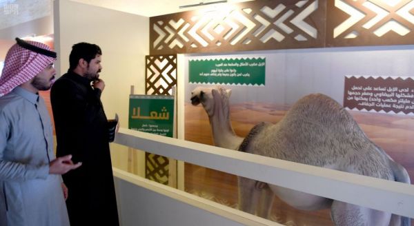 وزير سعودي : نعمل على تصنيف 3 مدن سعودية ضمن أفضل 50 مدينة ذكية في العالم