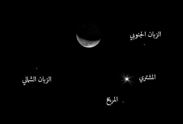 البيئة : تسجيل  4 اصابات بثادق و الافلاج وضرماء بانفلونزا الطيور