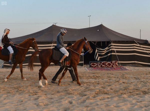 وزير الشؤون الإسلامية والدعوة والإرشاد يصل القاهرة